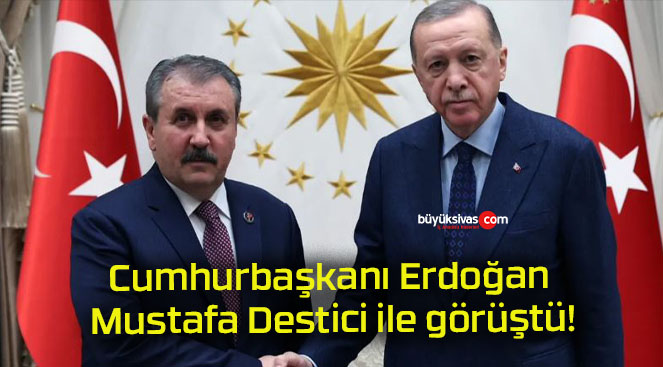Cumhurbaşkanı Erdoğan Mustafa Destici ile görüştü!