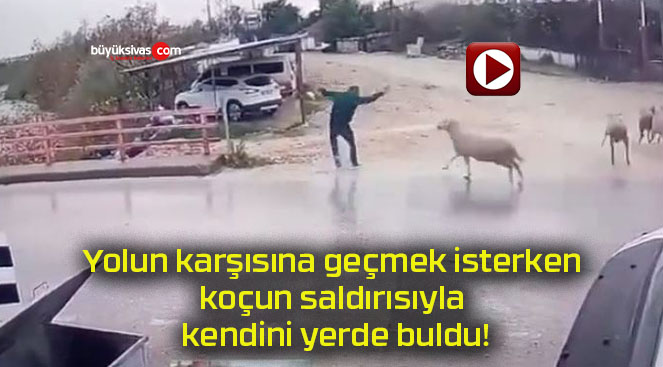 saldırıssss