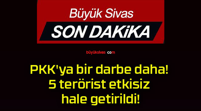 PKK’ya bir darbe daha! 5 terörist etkisiz hale getirildi!