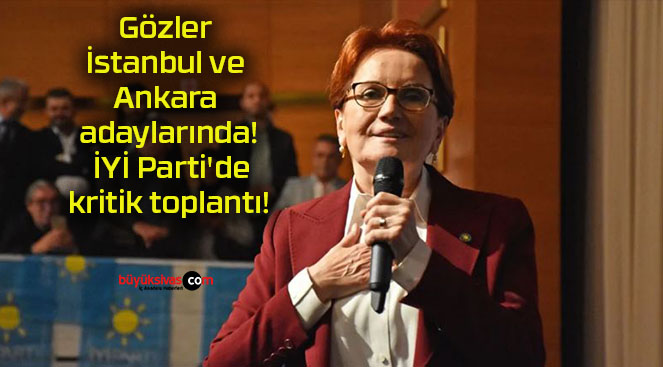 toplantıs