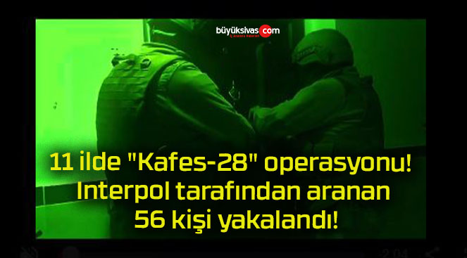 11 ilde “Kafes-28” operasyonu! Interpol tarafından aranan 56 kişi yakalandı!