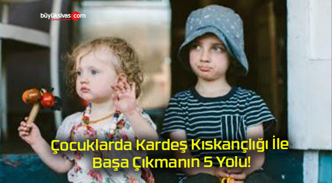 5 yolu