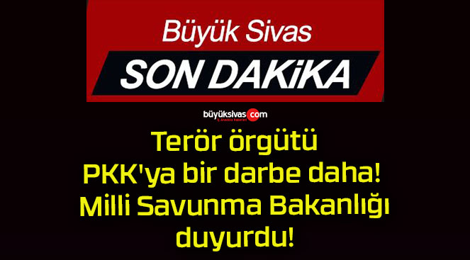 Terör örgütü PKK’ya bir darbe daha! Milli Savunma Bakanlığı duyurdu!
