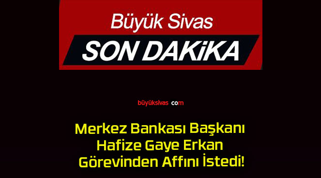 Merkez Bankası Başkanı Hafize Gaye Erkan Görevinden Affını İstedi!