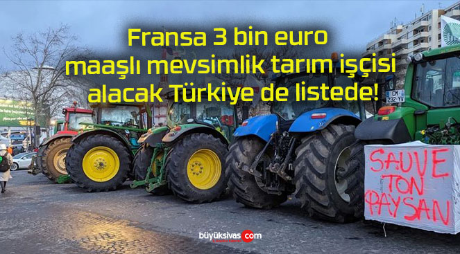 Fransa 3 bin euro maaşlı mevsimlik tarım işçisi alacak Türkiye de listede!
