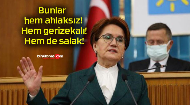 Bunlar hem ahlaksız! Hem gerizekalı! Hem de salak!