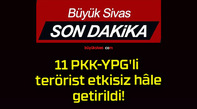 11 PKK-YPG’li terörist etkisiz hâle getirildi!