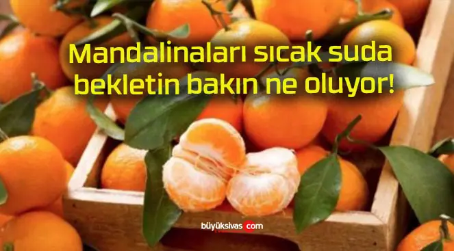 Mandalinaları sıcak suda bekletin bakın ne oluyor!