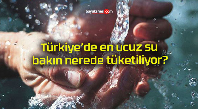 Türkiye’de en ucuz su bakın nerede tüketiliyor?