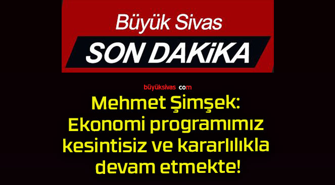 şimşeks