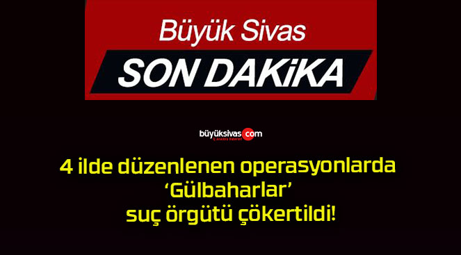 4 ilde düzenlenen operasyonlarda ‘Gülbaharlar’ suç örgütü çökertildi!