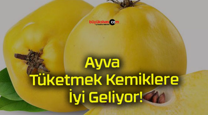 Ayva Tüketmek Kemiklere İyi Geliyor!