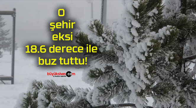 tuttu