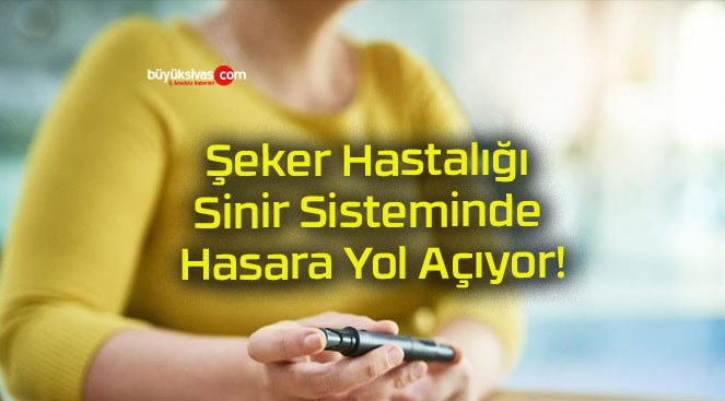 Şeker Hastalığı Sinir Sisteminde Hasara Yol Açıyor!