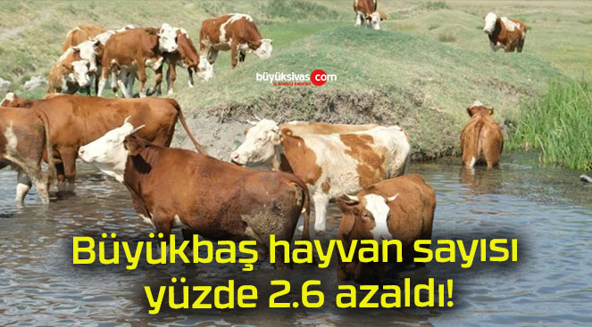 azaldıs