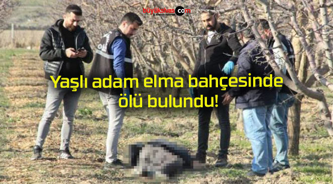 Yaşlı adam elma bahçesinde ölü bulundu!