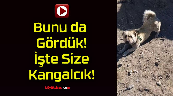 cıksa