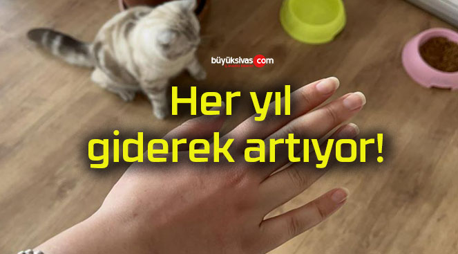 dereks