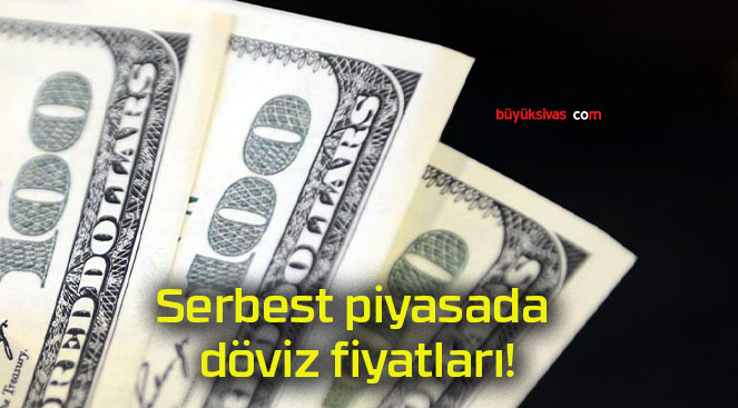 dövizs