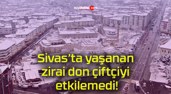 Sivas’ta yaşanan zirai don çiftçiyi etkilemedi!