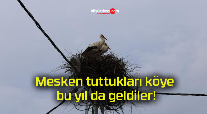 Mesken tuttukları köye bu yıl da geldiler!
