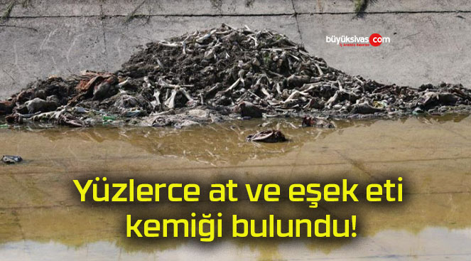 kemiğis
