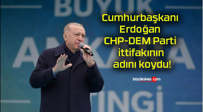 koydus