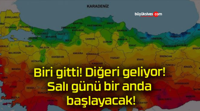 layacaks