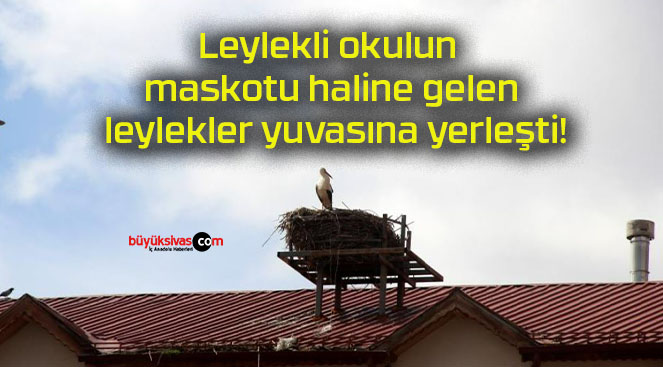 leyleks