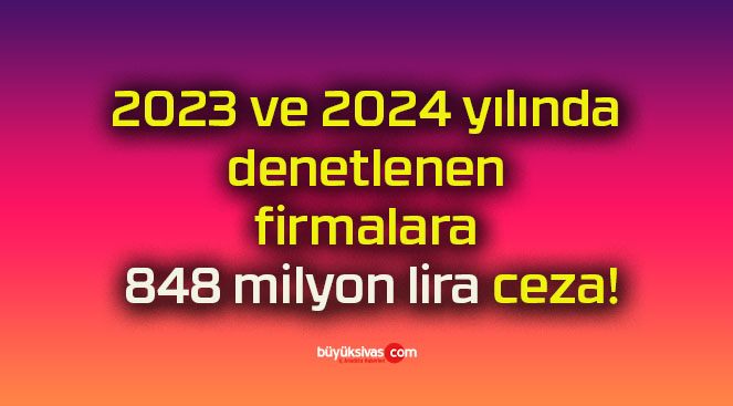 2023 ve 2024 yılında denetlenen firmalara 848 milyon lira ceza!