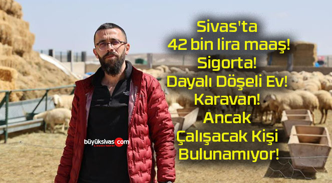 Sivas’ta 42 bin lira maaş! Sigorta! Dayalı Döşeli Ev! Karavan! Ancak Çalışacak Kişi Bulunamıyor!