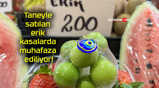 Taneyle satılan erik kasalarda muhafaza ediliyor!