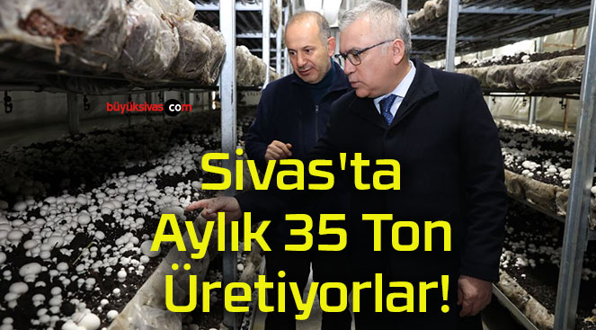 Sivas’ta Aylık 35 Ton Üretiyorlar!