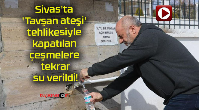 Sivas’ta ‘Tavşan ateşi’ tehlikesiyle kapatılan çeşmelere tekrar su verildi!