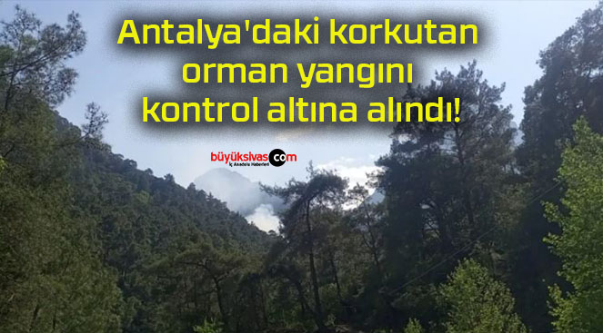 Antalya’daki korkutan orman yangını kontrol altına alındı!