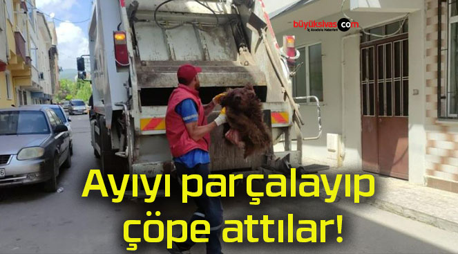 Ayıyı parçalayıp çöpe attılar!