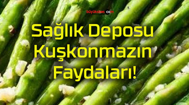 Sağlık Deposu Kuşkonmazın Faydaları!
