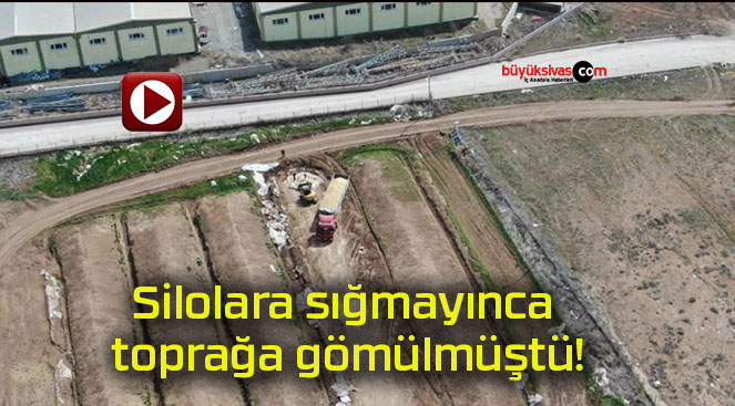 Silolara sığmayınca toprağa gömülmüştü!