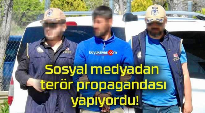 sektör