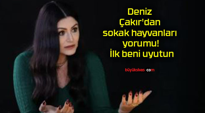 Deniz Çakır’dan sokak hayvanları yorumu! İlk beni uyutun