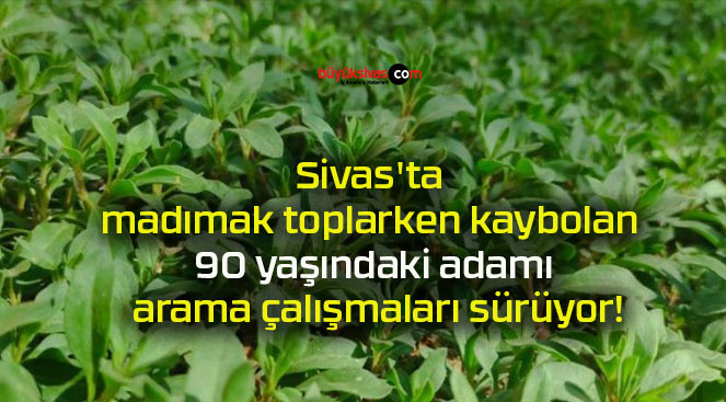 yaşındak
