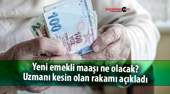 Yeni emekli maaşı ne olacak? Uzmanı kesin olan rakamı açıkladı