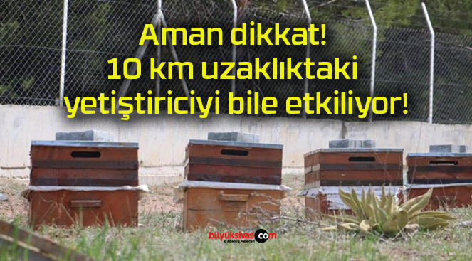 Aman dikkat! 10 km uzaklıktaki yetiştiriciyi bile etkiliyor!