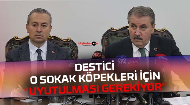 Mustafa Destici hangi sokak köpekleri için “uyutulması gerekiyor” dedi