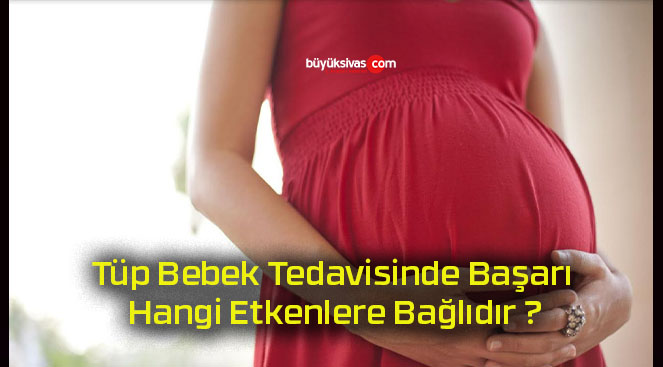 Tüp Bebek Tedavisinde Başarı Hangi Etkenlere Bağlıdır ?