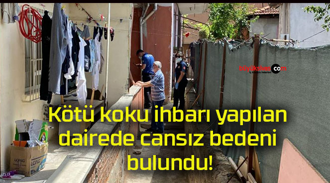 buluns