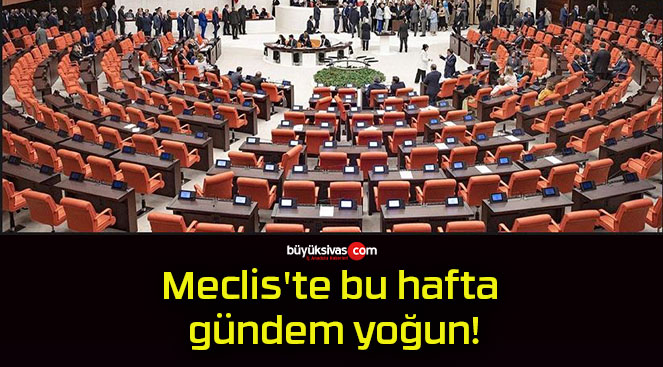 Meclis’te bu hafta gündem yoğun!
