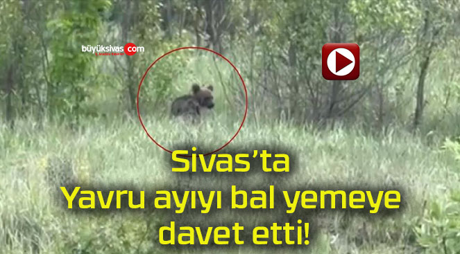 ettis