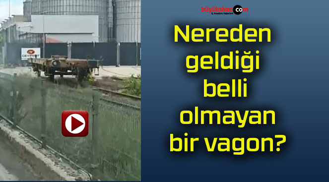gons