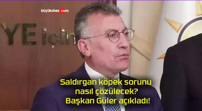 Saldırgan köpek sorunu nasıl çözülecek? Başkan Güler açıkladı!